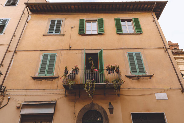 one balcony with plants on ancient house with windows, Pisa, Italy 
