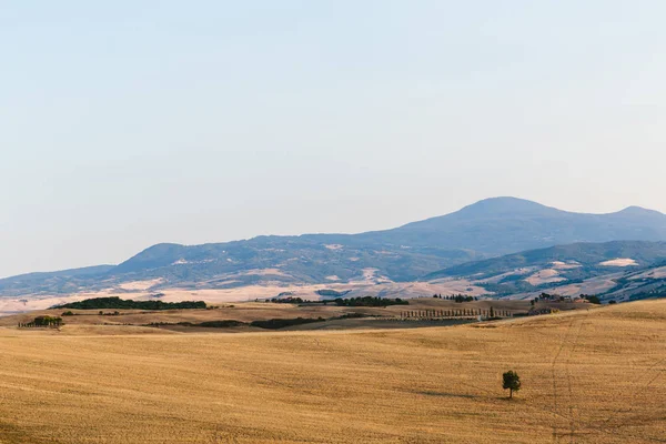 Toscanassa — kuvapankkivalokuva