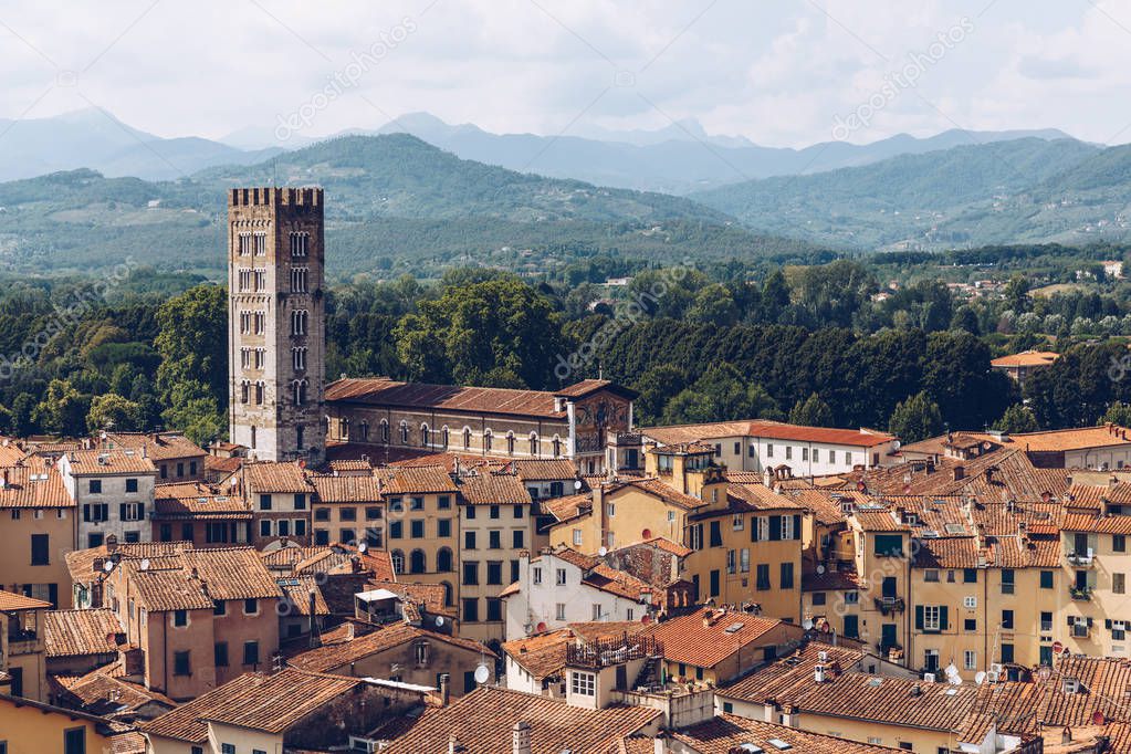 aerial view of roofs of ancient city and mountains, Pisa, Italy 