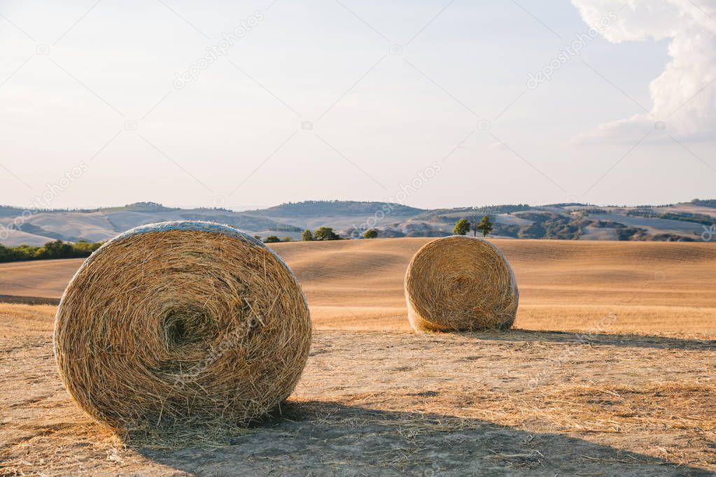 hay