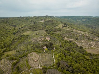 aerial view of fields and hills in arezzo province, Italy clipart
