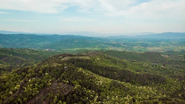 Vista Aérea Hermosas Colinas Verdes Con Árboles Provincia Arezzo Italia — Foto de stock gratis