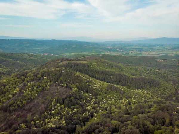 Vista Aérea Belas Colinas Com Árvores Província Arezzo Itália — Fotografia de Stock