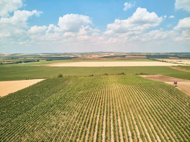 Aerial view of fields and blue sky with clouds, Czech Republic clipart