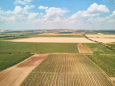 Aerial view of fields and blue sky with clouds, Czech Republic clipart