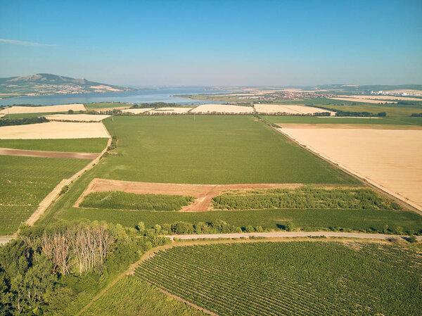 Aerial view of green fields and trees, Czech Republic