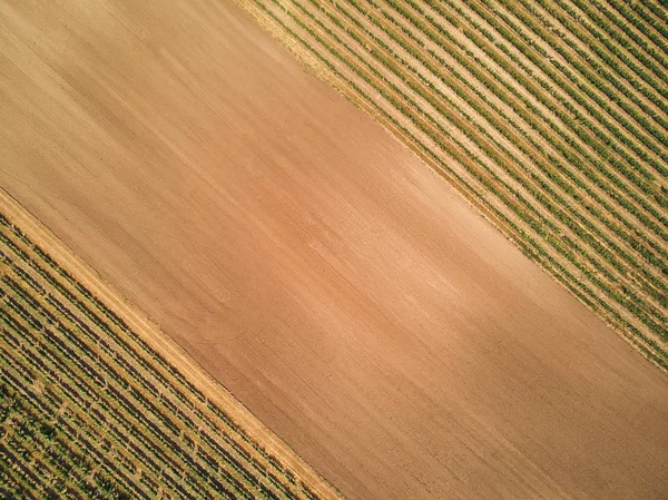 Soil — Stock Photo, Image