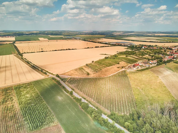 Tierras agrícolas — Foto de Stock