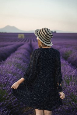 arkadan görünüşü arasında blooming lavanta çiçekleri, provence, Fransa yürüyen genç kadın