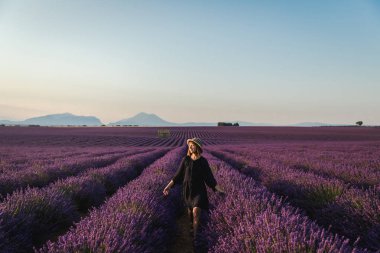 beautiful young woman walking between blooming lavender flowers, provence, france clipart