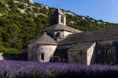 Abbey of Senanque clipart