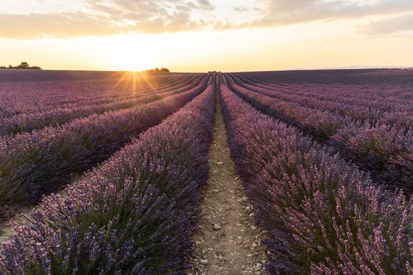 Sonnenuntergang — Stockfoto