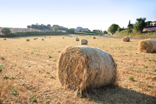 agricultural