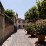 Hermosa y acogedora calle estrecha con casas tradicionales, árboles verdes y flores en flor en macetas, provence, francia