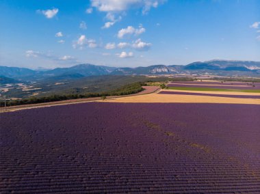Lavanta alan ve provence, Fransa dağlarda güzel havadan görünümü ekili