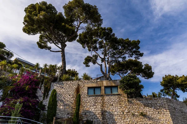 Blick Auf Schöne Traditionelle Architektur Und Hohe Bäume Der Provence — kostenloses Stockfoto