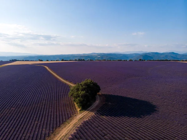 Aerial — Stock Photo, Image