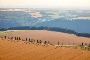 hasat, tepeler ve yol Bad Schandau, Almanya ile güzel turuncu alanlarının havadan görünümü