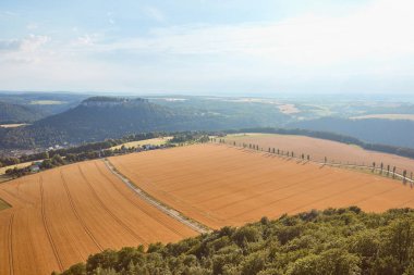 aerial view of orange fields with harvest and roads in Bad Schandau, Germany clipart