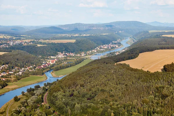 Wald — Stockfoto