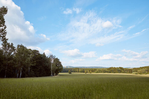 green grass on field, trees and blue sky in Bad Schandau, Germany