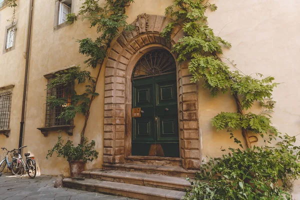 Большая старинная дверь с растениями в старом городе, Пиза, Италия — стоковое фото