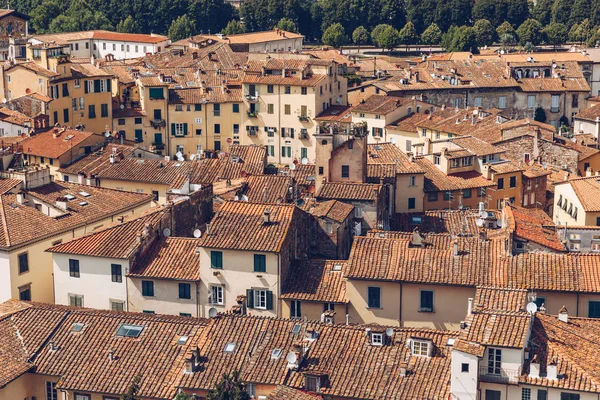 Roofs — Stock Photo