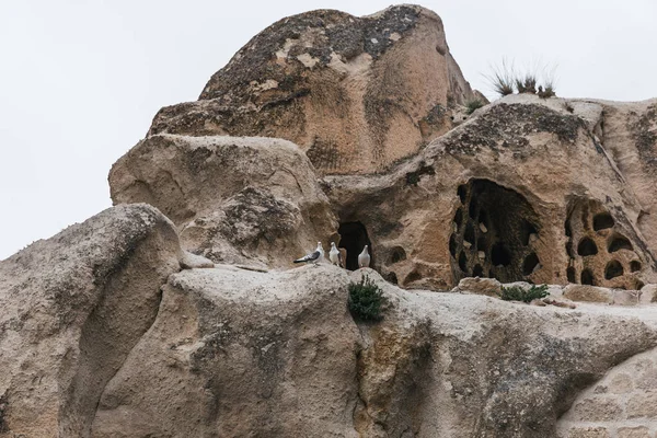 Beautiful caves in goreme sandstone at national park, cappadocia, turkey — Stock Photo