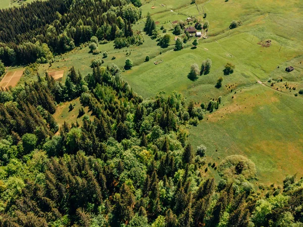 Vue aérienne de la forêt et des champs dans la province d'arezzo, Italie — Photo de stock
