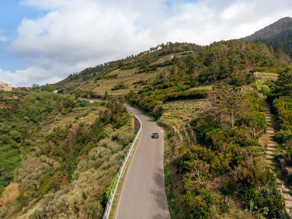 Road — Stock Photo