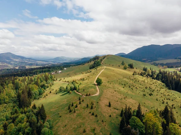 Vista aérea de campos verdes y colinas en la provincia de Arezzo, Italia - foto de stock