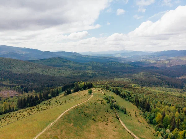 Vista aérea de campos verdes, árboles y colinas en la provincia de Arezzo, Italia - foto de stock