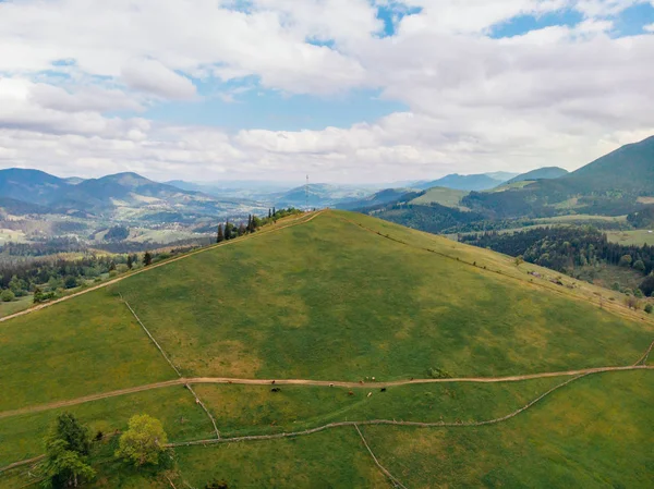 Vista aérea de campos verdes y colinas en la provincia de Arezzo, Italia - foto de stock