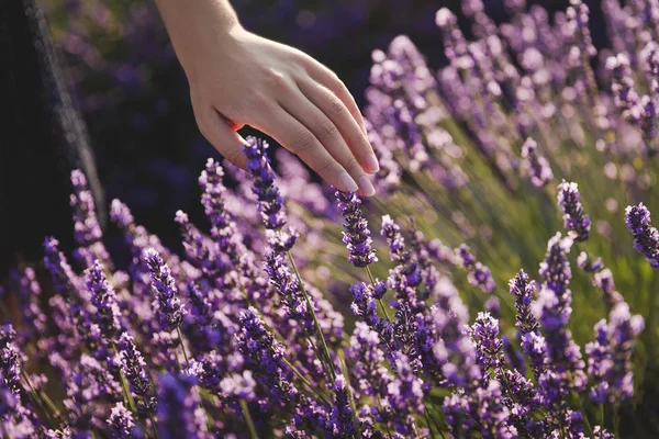 Touching — Stock Photo