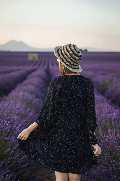 Back view of young woman walking between blooming lavender flowers, provence, france — Stock Photo