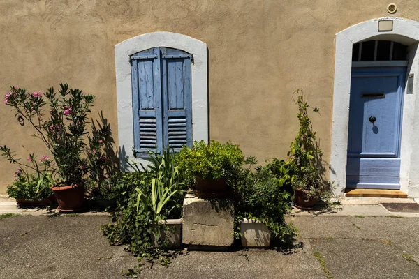 Plants — Stock Photo