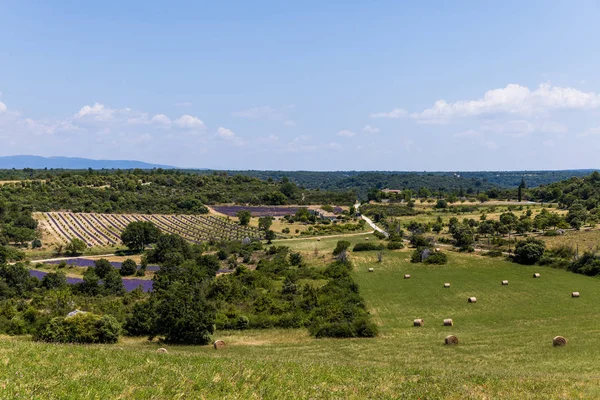 Hermosas plantas verdes, fardos de heno en el campo y edificios de la granja en provence, Francia - foto de stock