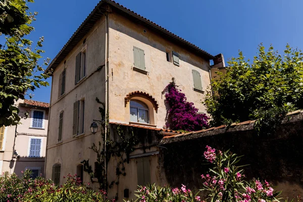 Low angle view of beautiful traditional house with green vegetation and blooming flowers at sunny day, provence, france — Stock Photo