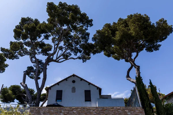 Vista de ángulo bajo de hermosa casa blanca y árboles verdes altos en provence, Francia - foto de stock