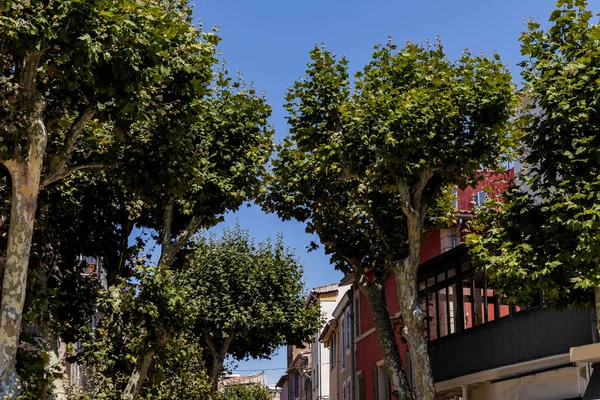 Low angle view of beautiful green trees in traditional french town in provence — Stock Photo