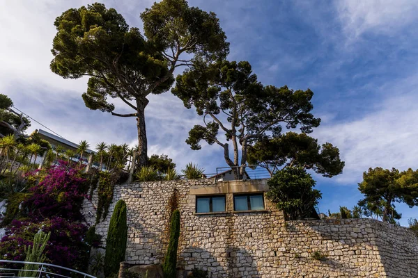 Vista de ángulo bajo de hermosa arquitectura tradicional y árboles altos en provence, Francia - foto de stock