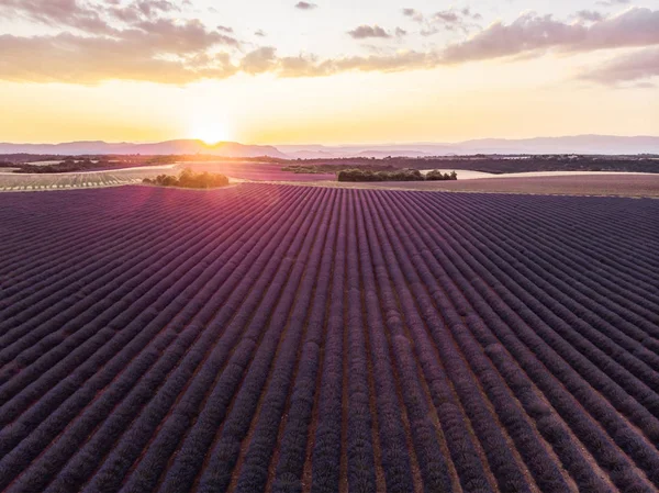 Vue aérienne du magnifique champ de lavande au coucher du soleil, provence, france — Photo de stock