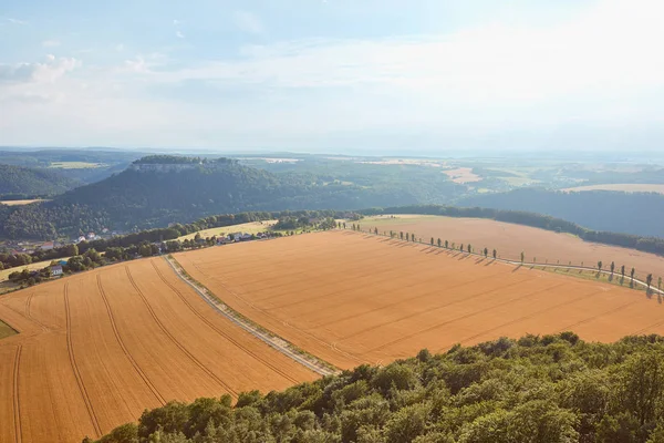 Вид с воздуха на оранжевые поля с уборкой урожая и дороги в Бад-Шандау, Германия — стоковое фото