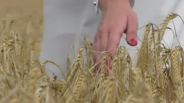 Una mujer con clavos rojos de nuevo al espectador en un campo — Vídeo de stock