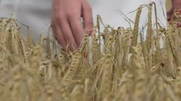 Een vrouw met rode nagels terug naar de kijker in een veld — Stockvideo