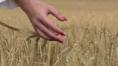 Kırmızı bir kadınla başa bir alan içinde belgili tanımlık görüş çivi