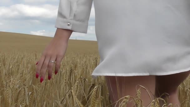 Een vrouw met rode nagels terug naar de kijker in een veld — Stockvideo