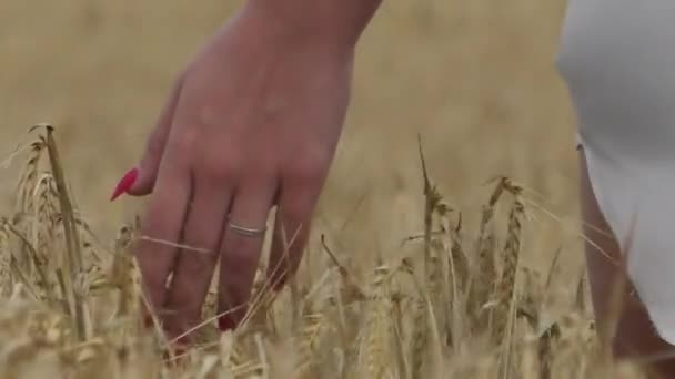 Een vrouw met rode nagels terug naar de kijker in een veld — Stockvideo