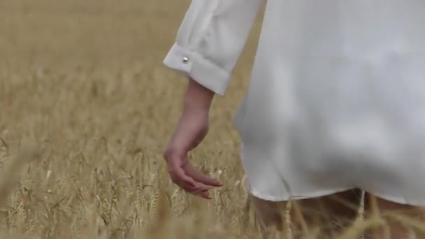 Женщина с красными ногтями возвращается к зрителю в поле — стоковое видео
