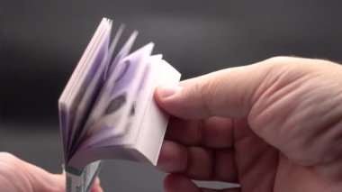 Banknotların bir yığın içinde leafing